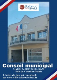 affiche-conseil-municipal6