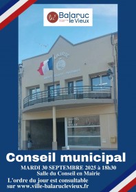 affiche-conseil-municipal7