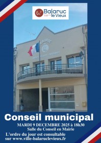 affiche-conseil-municipal8