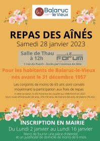 repas-des-aines2