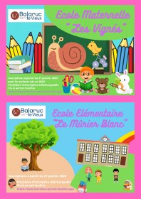 visuel-vie-scolaire-site-internet
