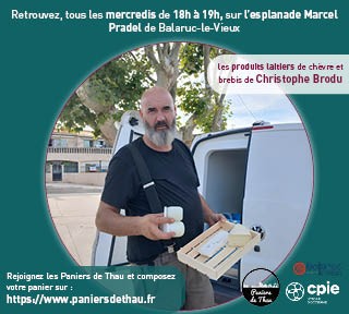 Les Paniers de Thau